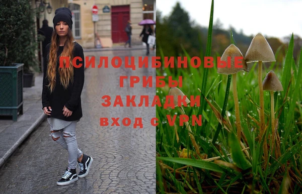ГАЛЛЮЦИНОГЕННЫЕ ГРИБЫ Кодинск