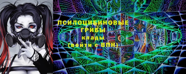 ГАЛЛЮЦИНОГЕННЫЕ ГРИБЫ Кодинск