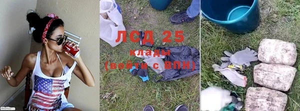 ГАЛЛЮЦИНОГЕННЫЕ ГРИБЫ Кодинск