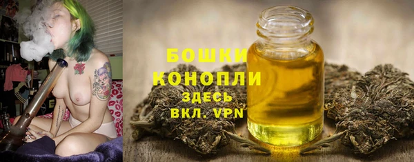 ГАЛЛЮЦИНОГЕННЫЕ ГРИБЫ Кодинск