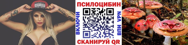 Псилоцибиновые грибы Psilocybe  Купить закладки  Чкаловск 