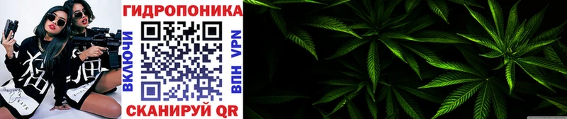 Купить Чкаловск Марихуана марихуана